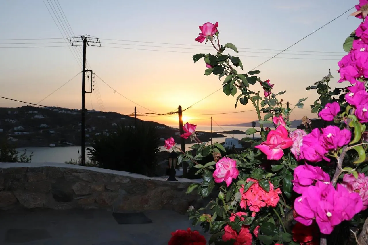 Eldimar Apartments Studio Mykonos Town